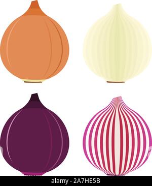 Symboles de l'oignon ou de télévision avec des icônes rouges et d'or, en tranches et les légumes frais entiers Illustration de Vecteur