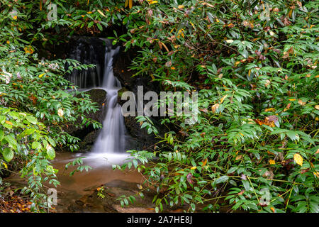 Petite cascade cachée sur Sycamore, sentier de l'anse de la Forêt Nationale de Pisgah, Brevard, North Carolina, USA Banque D'Images