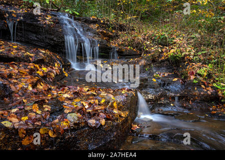 Petite chute d'Avery hors sentier du ruisseau en automne - Pisgah National Forest, Brevard, North Carolina, USA Banque D'Images