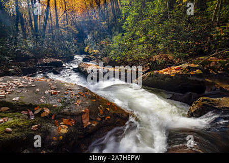 Cascade coulant sur Looking Glass Creek à l'automne - Pisgah National Forest, à proximité de Brevard, North Carolina, United States Banque D'Images
