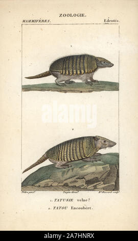 Big hairy armadillo, Chaetophractus villosus, et six-banded armadillo, Euphractus sexcinctus. Gravure sur cuivre coloriée à crépi de Frédéric Cuvier's 'Dictionary of Natural Science : Mammifères,' Paris, France, 1816. Illustration par J. G. Pretre, gravée par Madame Massard, réalisé par Pierre Jean François Turpin, et publié par F.G. Levrault. Jean Gabriel Pretre (17801845) était peintre d'histoire naturelle à l'Impératrice Joséphine's zoo et plus tard est devenu artiste pour le Musée d'Histoire Naturelle. Turpin (1775-1840) est considéré comme l'un des plus grands illustrateurs botaniques français du xixe ce Banque D'Images