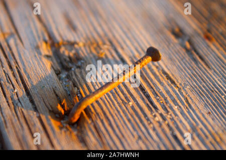 Clou rouillé en planche de bois. Close up Banque D'Images