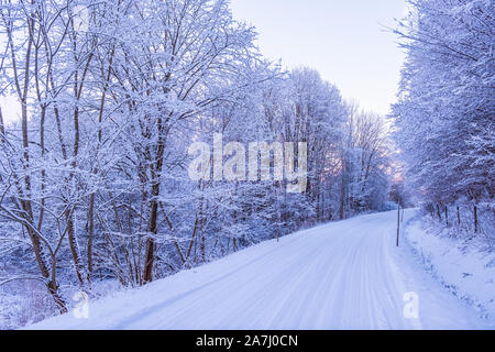 Chemin d'hiver avec de la neige dans une forêt à l'aube Banque D'Images