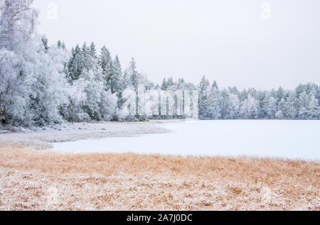 Lac de la forêt à un marais avec gelée blanche sur les arbres Banque D'Images