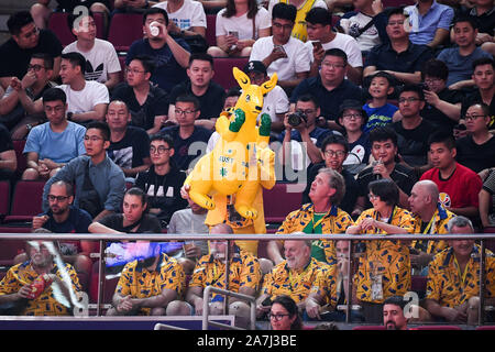 Des fans australiens acclamer l'Australie à l'Espagne contre l'Australie 2019 demi-finale de la Coupe du Monde de Basket-ball de la FIBA à Beijing, Chine, 13 septembre 2019. Banque D'Images