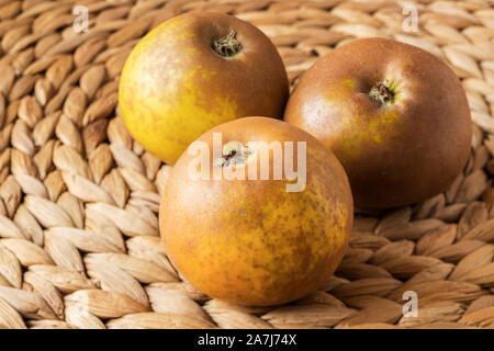 Trois egremont russet pommes sur un tapis de feuille de bananier, en lumière naturelle. Banque D'Images