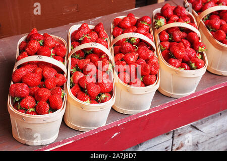 Fraises fraîches dans le panier sur la cale en bois d'un farmer's market Banque D'Images