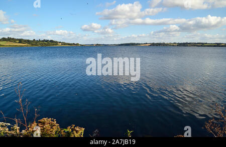 Rutland Water nature Reserve, Rutland, Angleterre, Royaume-Uni Banque D'Images