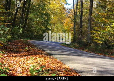 Curvy route dangereuse jusqu'à l'automne forêt de couleur, l'accent sur le premier plan Banque D'Images