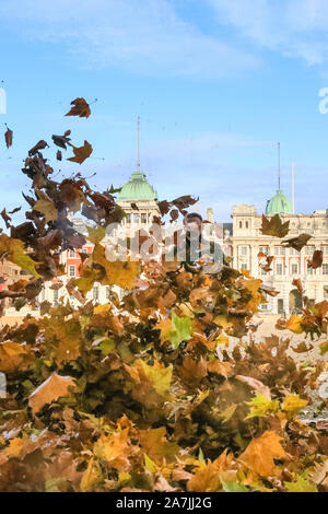 Londres, Royaume-Uni, 06th Nov 2019. Les entrepreneurs sont de soufflage des feuilles de Westminster sur Horse Guards Parade au beau soleil, l'effacement du grand espace ouvert souvent utilisé pour les parades de teintes automnales de feuilles et de débris. Credit : Imageplotter/Alamy Live News Banque D'Images