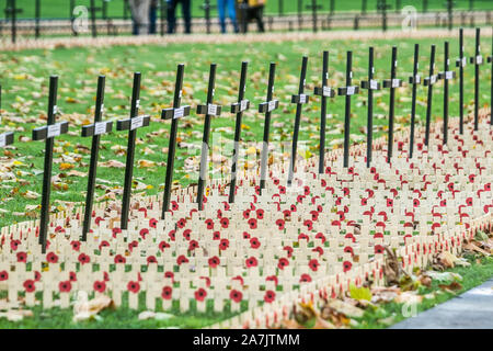 Londres, Royaume-Uni. 3 novembre 2019. Croix sont placés dans le champ du souvenir à l'extérieur de l'abbaye de Westminster en fonction de parcelles régiment avant les commémorations du Souvenir le dimanche pour honorer les morts britanniques et les militaires du Commonwealth et les femmes des conflits passés. La British Legion Field du souvenir sera officiellement ouverte par Son Altesse Royale le prince Harry Duc de Sussex. amer ghazzal /Alamy live News Banque D'Images