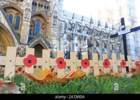 Londres, Royaume-Uni. 3 novembre 2019. Croix sont placés dans le champ du souvenir à l'extérieur de l'abbaye de Westminster en fonction de parcelles régiment avant les commémorations du Souvenir le dimanche pour honorer les morts britanniques et les militaires du Commonwealth et les femmes des conflits passés. La British Legion Field du souvenir sera officiellement ouverte par Son Altesse Royale le prince Harry Duc de Sussex. amer ghazzal /Alamy live News Banque D'Images