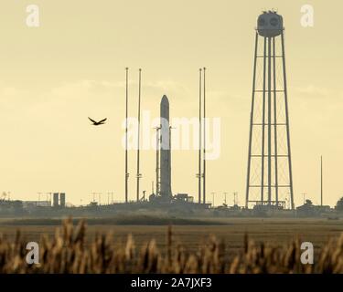 Wallops, États-Unis d'Amérique. 02 novembre, 2019. Le Northrop Grumman Antares fusée, avec ravitaillement à bord de l'engin spatial Cygnus, moments avant contact sur Launch Pad-0A au NASA Wallops Flight Facility 2 novembre 2019 en Virginie, Wallops. La mission de ravitaillement en marchandises commerciales offrira 8 200 livres de recherche, de fournitures et de l'équipage du véhicule à la la Station spatiale internationale. Credit : NASA/Bill Ingalls/Alamy Live News Banque D'Images