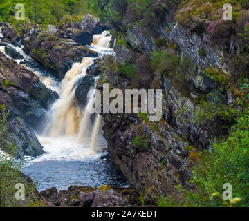 Rogie Falls, une série de cascades sur l'eau noire, rivière à Ross-shire dans les Highlands d'Ecosse. Banque D'Images