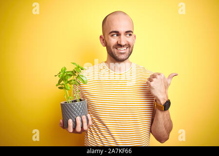 Jeune homme tenant le basilic plat terrain isolé sur fond jaune et de pointage montrant avec le pouce jusqu'à la côte avec happy face smiling Banque D'Images