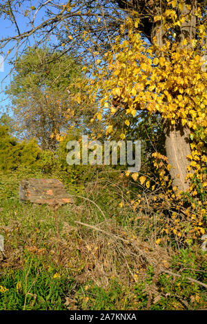 Des maisonnettes délabrées tumbledown sol carrelé outhouse précédemment utilisées pour les poulets ou les chiens à l'abri dans établit entre les abandonnés feuillage de l'automne en Hongrie Banque D'Images