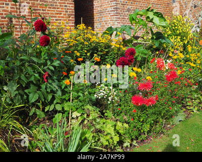 Plante herbacée frontière au côté de souther Chenies Manor House à la fin de la saison avec des dahlias, asters en orange, rouge et jaune et d'énormes feuilles. Banque D'Images