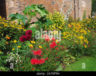 Plante herbacée frontière au côté de souther Chenies Manor House à la fin de la saison avec des dahlias, asters en orange, rouge et jaune et d'énormes feuilles. Banque D'Images