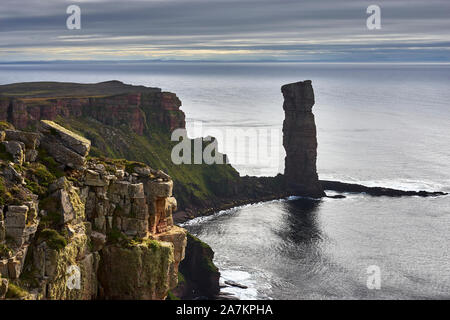 Vieil Homme de la mer Hoy Hoy, pile, Orkney, Scotland Banque D'Images