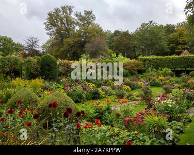 Chenies Manor jardin en contrebas ; la fin de l'après-midi de septembre montrant le dahlia, variétés de couleurs et de pelouse topiaires dans le jardin en terrasse. Banque D'Images