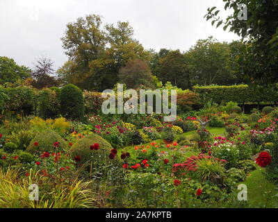 Chenies Manor jardin en contrebas ; la fin de l'après-midi de septembre montrant le dahlia, variétés de couleurs et de pelouse topiaires dans le jardin en terrasse. Banque D'Images