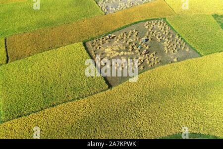 Vues aériennes de terres agricoles sur lesquelles les agriculteurs la récolte à district de Huaxi Guiyang city, au sud-ouest de la province du Guizhou, en Chine, 24 septembre 2019. *** Lo Banque D'Images