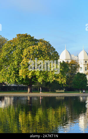 En cours d'exécution, Regent's Park, North West London, Royaume-Uni Banque D'Images