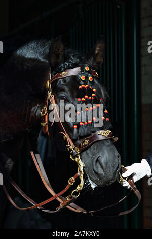 Portrait cheval de selle andalouse Bay contre dark barn stables Banque D'Images