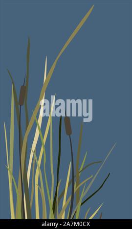 Bush de Swamp reed sur un lac. vector Illustration Illustration de Vecteur