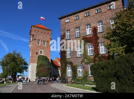 Cracovie. Cracovie. La Pologne. Le château royal de Wawel sur la colline de Wawel. Zlodziejska Baszta tower. Banque D'Images