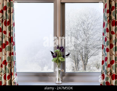 Bien qu'à une fenêtre sur une neige hivers et freexing d'arbres couverts de brouillard. Scène d'un milieu rural dans le pays d'accueil Banque D'Images