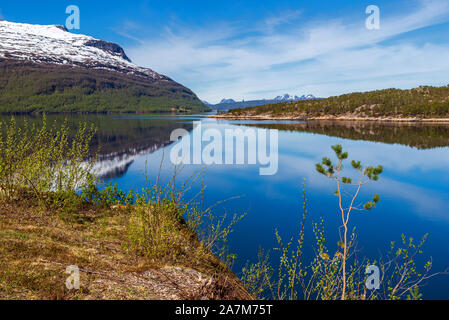 Vous rencontrez scnarios naturel sur la route de Fauske à Narvik durant la saison du printemps, la Norvège Banque D'Images