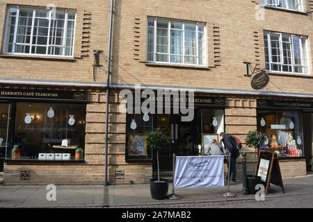 Couple à la recherche, à l'aide du menu de la fenêtre de 23 Days of cafe Thé, Cambridge, Cambridgeshire, Angleterre Banque D'Images