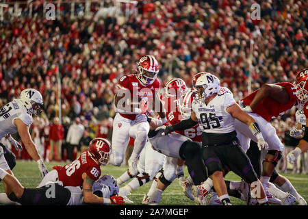 Bloomington, États-Unis. 09Th Nov, 2019. Indiana University's Stevie Scott (8) marque un touchdown contre le nord-ouest au cours de la NCAA college football match au Memorial Stadium à Bloomington.Les Hoosiers battre les Wildcats 34-3. Credit : SOPA/Alamy Images Limited Live News Banque D'Images