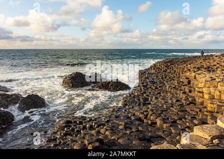 Giant's Causeway vue de l'après-midi, Nord de l'Irlande, Royaume-Uni Banque D'Images