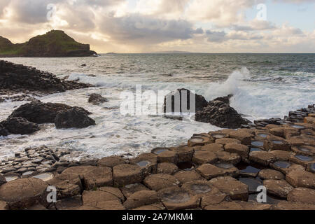 Giant's Causeway vue de l'après-midi, Nord de l'Irlande, Royaume-Uni Banque D'Images