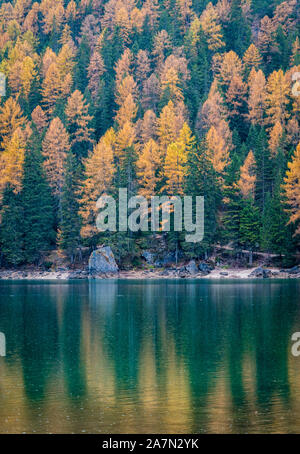 Matin d'automne brumeux au lac de Braies, Province de Bolzano, Trentin-Haut-Adige, Italie. Banque D'Images