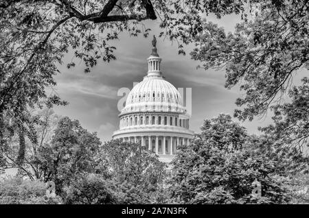 Le dôme de l'United States Capitol building, iconic accueil du Congrès des États-Unis, entourée d'arbres, Washington DC, USA Banque D'Images