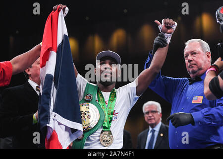 Oxon Hill, Maryland, USA. 2e Nov, 2019. JAVIER FORTUNA de République Dominicaine célèbre remportant le combat léger tenu au MGM National Harbor à Oxon Hill, Maryland. Credit : Amy Sanderson/ZUMA/Alamy Fil Live News Banque D'Images