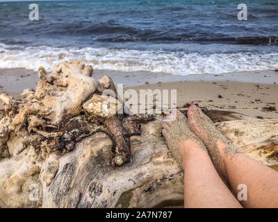 Le sud de la Floride - femme des pieds sur du bois flotté sur la plage Banque D'Images