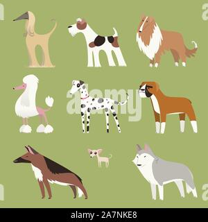 Exposition de chiens de pure race chiot chien pet dragonnet collection, avec neuf chiens de races différentes standing looking at camera vector illustration. Illustration de Vecteur