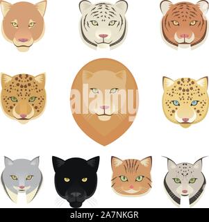 Les félins léopard, panthère, lion, tigre, puma et jaguar chefs collection. Vector illustration. Illustration de Vecteur