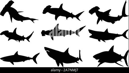 Vecteur silhouette de requins Illustration de Vecteur