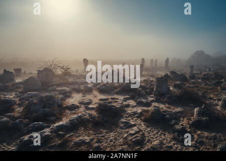 Lever du soleil brouillard sur forêt de pierre pobiti kamani formation nommée, près de Varna, Bulgarie Banque D'Images