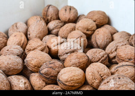 Noix séchées à maturité dans une boîte en bois . Banque D'Images