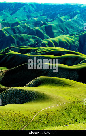 Paysage de la prairie dans Kalajun comté Tekes, préfecture autonome Kazakh de SG, le nord-ouest de la Chine, la Région autonome du Xinjiang Uygur, 9 juillet 2019. Banque D'Images