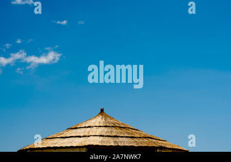 Low angle view of roof bâtiment reed contre le ciel bleu. Pavillon de plain-pied dans une station Banque D'Images