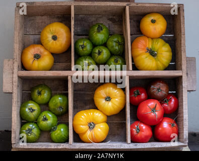 Des caisses en bois avec une variété de différents types de tomates en différentes couleurs dans les six compartiments. Banque D'Images