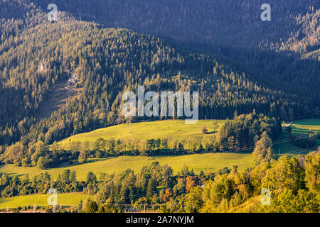 Paysage verdoyant et forêt dans la nature pure Banque D'Images