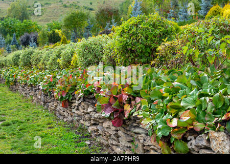 Chemin de décoration dans un jardin magnifique au début de l'automne Banque D'Images